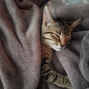 Meet your Posher, Lisa